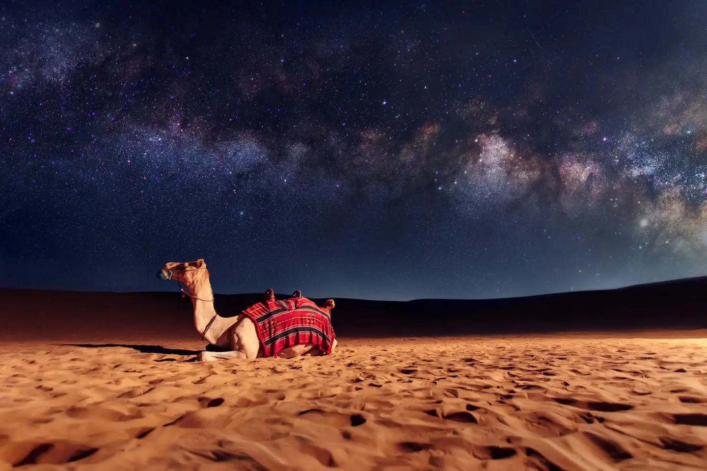 Starry night sky over the Thar Desert at Dusk N Dunes