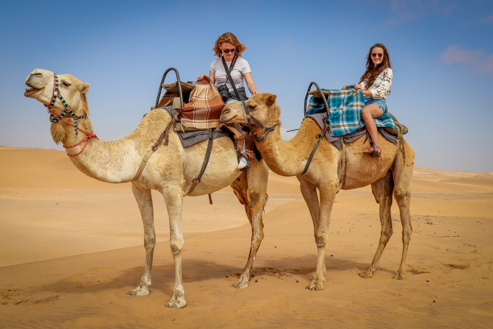 Camel safari at sunset near Jaisalmer